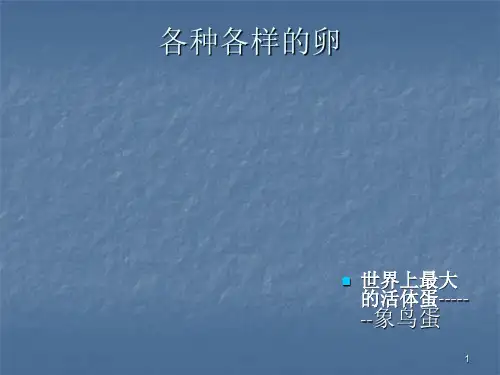 动物的卵ppt课件