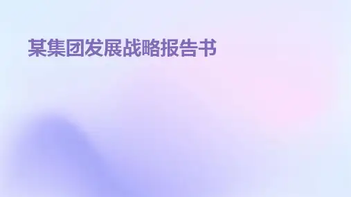 某集团发展战略报告书