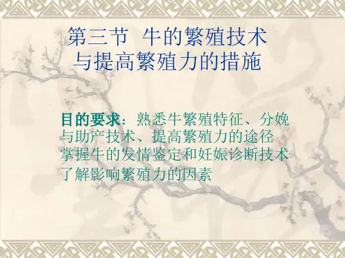 第三节  牛的繁殖技术与提高繁殖力的措施