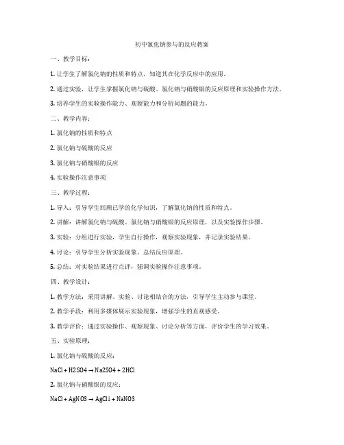 初中氯化钠参与的反应教案