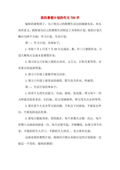 2020年我的暑假计划的作文700字