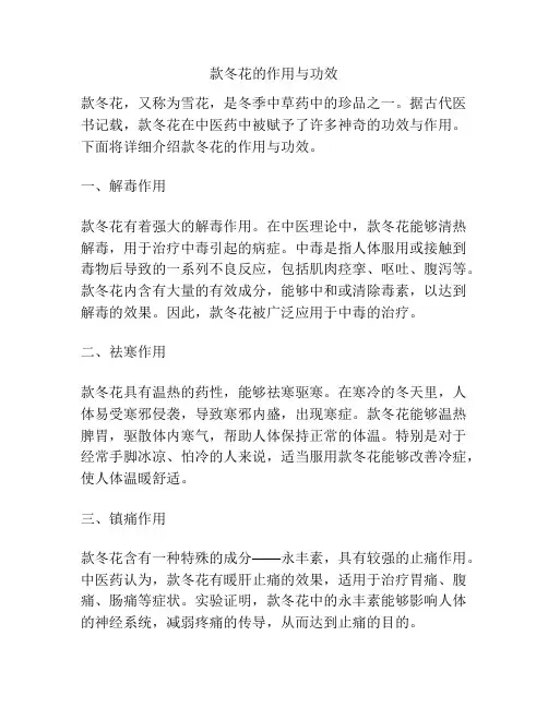 款冬花的作用与功效