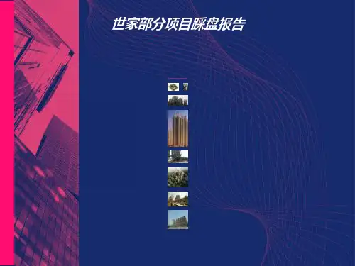 成都各项目踩盘报告