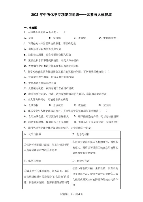 2023年中考化学专项复习训练----元素与人体健康