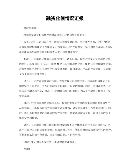 融资化债情况汇报
