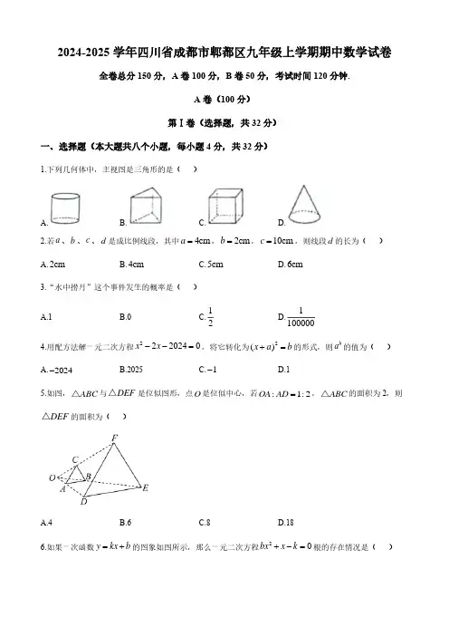 2024-2025学年四川省成都市郫都区九年级上学期期中数学试卷