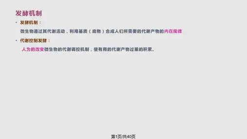 发发酵机制与代谢调控PPT课件