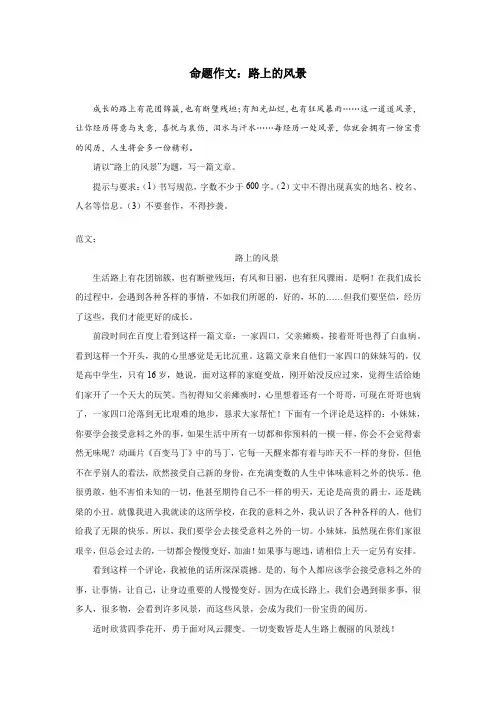 命题作文：路上的风景