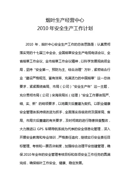 2010年安全生产工作计划