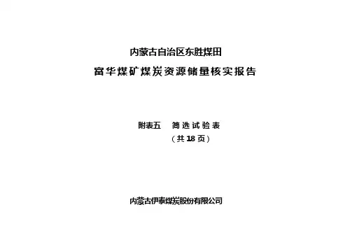 五富华煤矿S2简选浮沉表最终