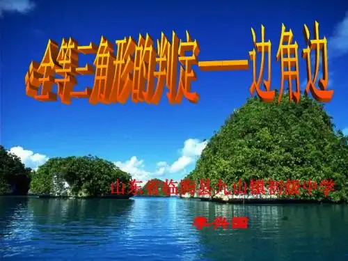 青岛版 八下 全等三角形的判定---边角边定理
