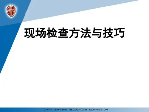 现场检查方法与技巧课件