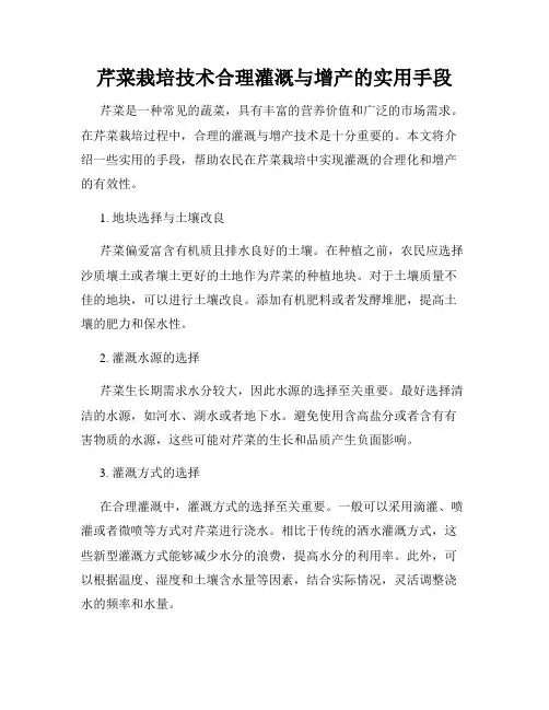 芹菜栽培技术合理灌溉与增产的实用手段