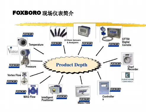 德国福克斯波罗系列仪表