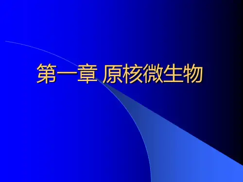 原核微生物-1