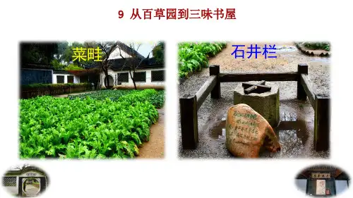 2024语文部编版七年级上册第三单元9  从百草园到三味书屋教学课件ppt