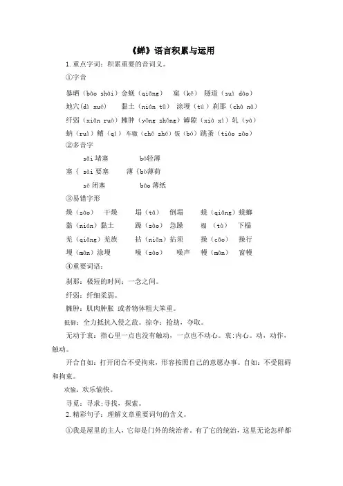 19《蝉》解读