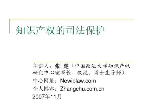 知识产权的司法保护
