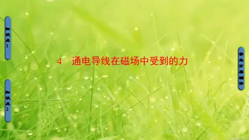 高中物理课件第三章 磁场 3-4