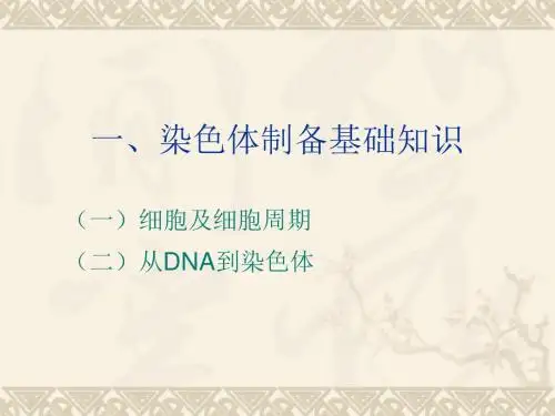 染色体显带原理与技术