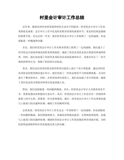 村里会计审计工作总结