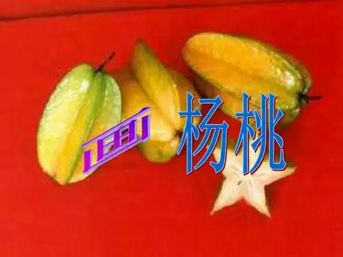 语文人教版三年级下册《画杨桃》第二课时课件