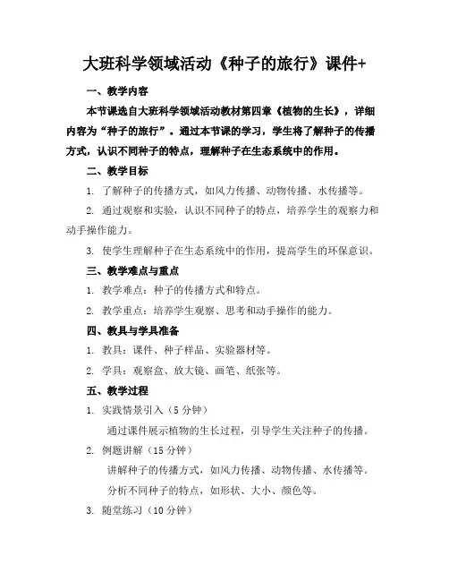 大班科学领域活动《种子的旅行》课件+