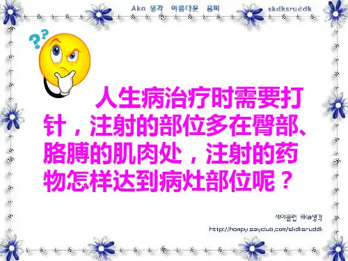 初中生物学 血液循环 讲义PPT幻灯片