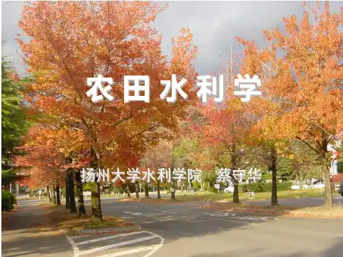 管道灌溉-微灌