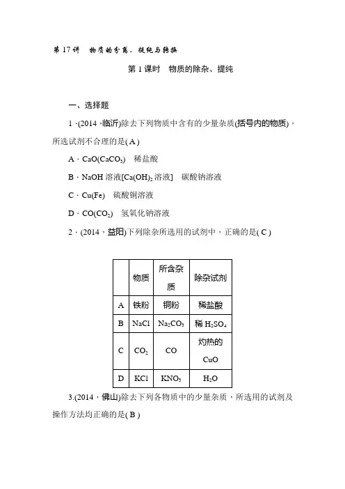 九年级化学专题考点跟踪突破检测题17