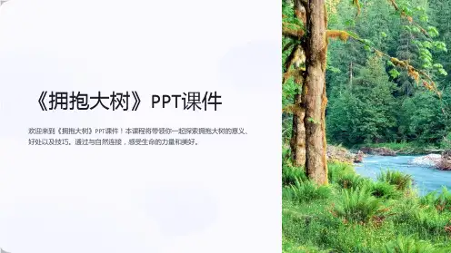 《拥抱大树》课件