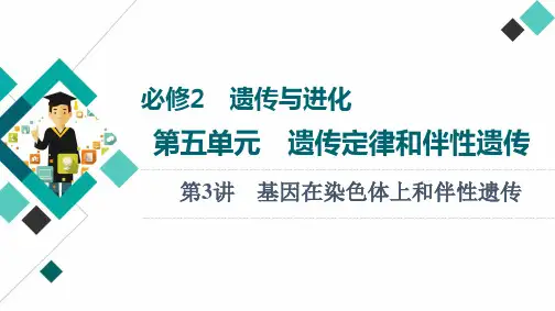 高考一轮复习人教版基因在染色体上和伴性遗传课件2