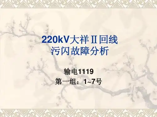 输电线路污闪案例分析报告
