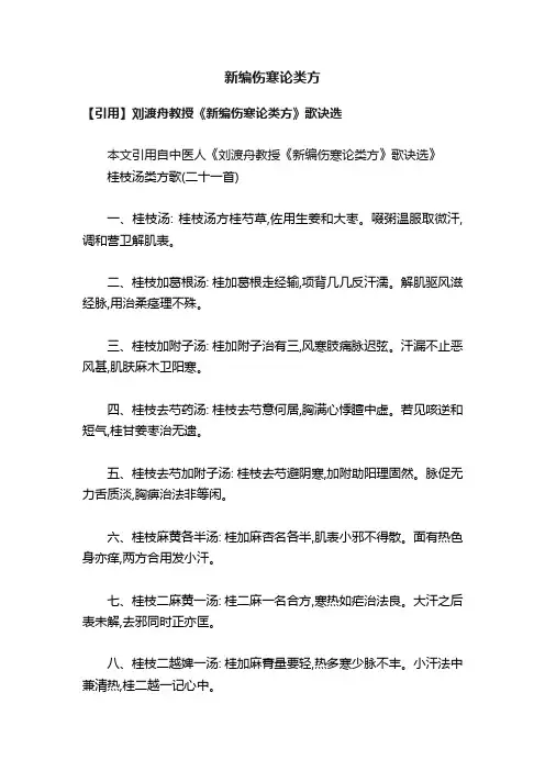 新编伤寒论类方
