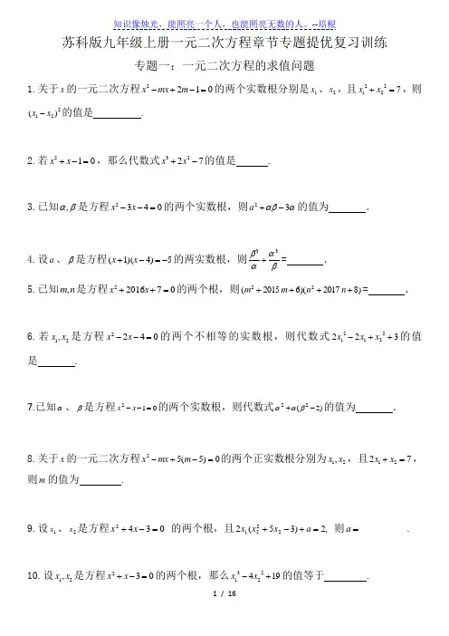 苏科版九年级上册 第1章  一元二次方程  专题提优复习训练(含答案)