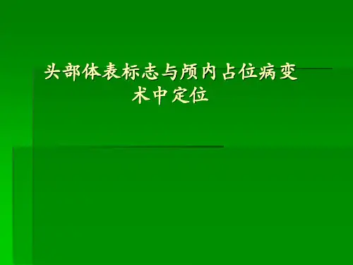 头部体表标志与颅内占位病变术中定位