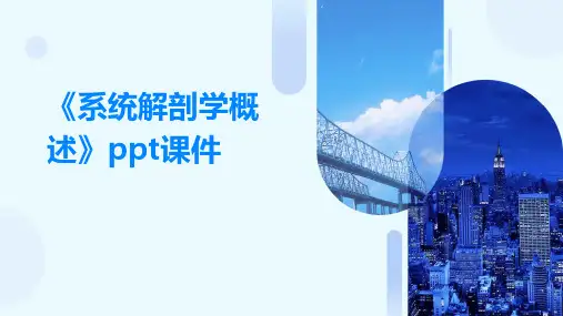 《系统解剖学概述》课件