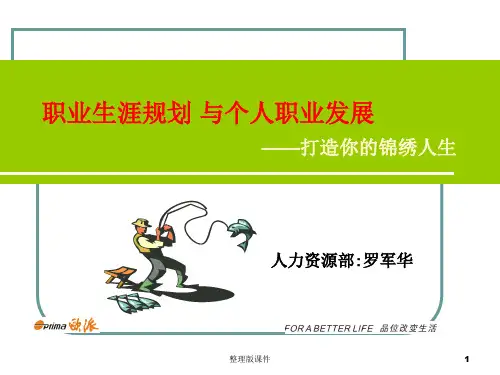 职业生涯规划与个人职业发展ppt课件