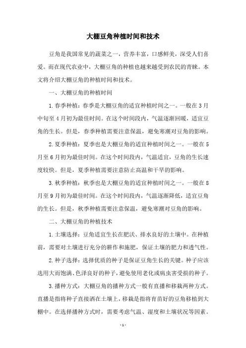 大棚豆角种植时间和技术