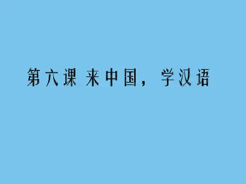 发展汉语初级读写I第六课