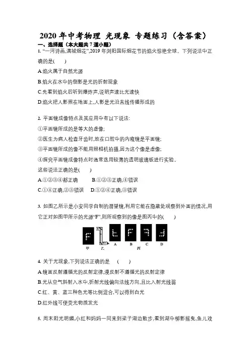 2020年中考物理 光现象 专题练习(包含答案)