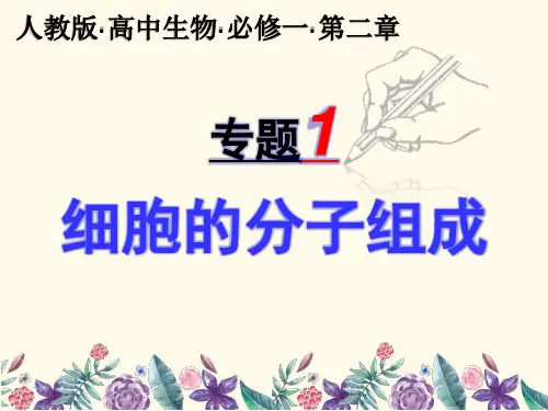 人教版高中生物必修一复习课专题一：细胞的分子组成 课件(共16张PPT)