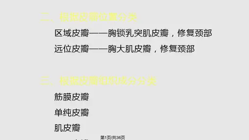 皮瓣讲课幻灯PPT课件