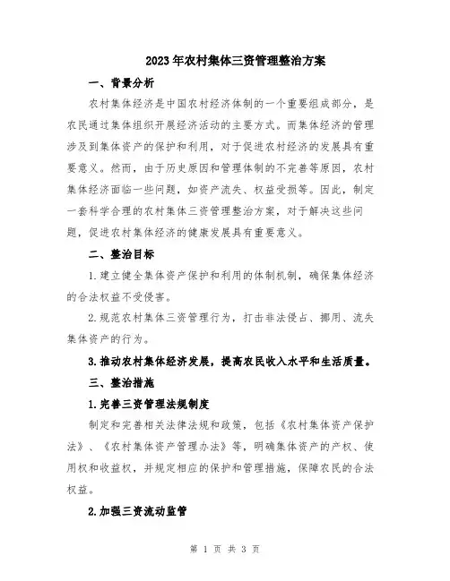 2023年农村集体三资管理整治方案