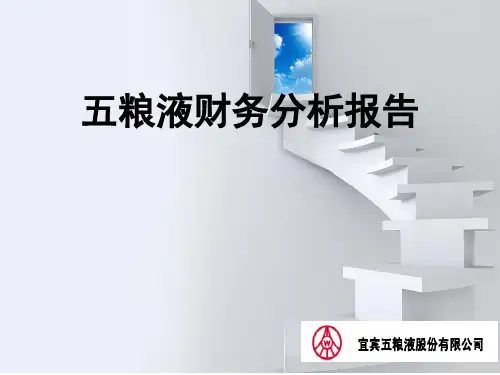 五粮液财务分析