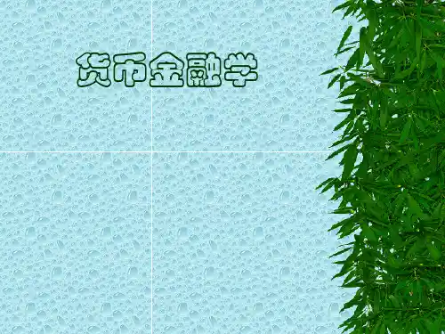《货币金融学》ppt课件