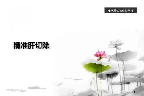 精准肝切除研究进展课件