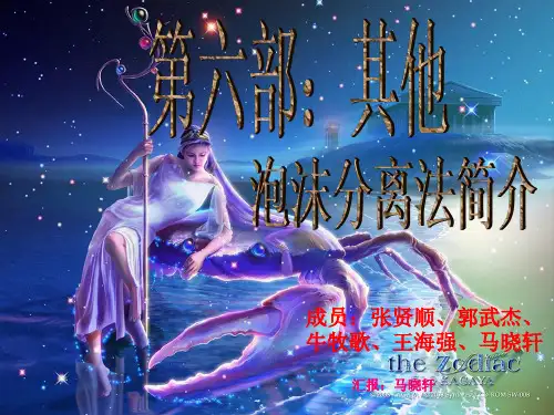 泡沫浮选法资料