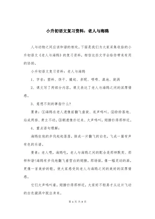 小升初语文复习资料：老人与海鸥
