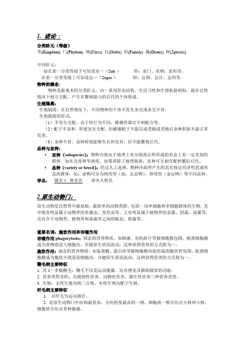 无脊椎动物学总结